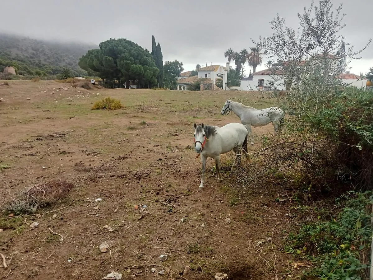 Casa Blanquita Lejlighed Mijas